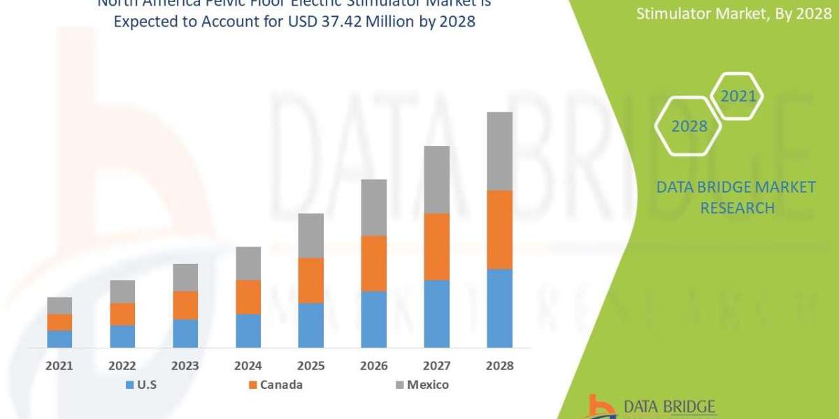North America Pelvic Floor Electric Stimulator Market Analysis: Supply Chain, Pricing, and Forecast 2025 –2032