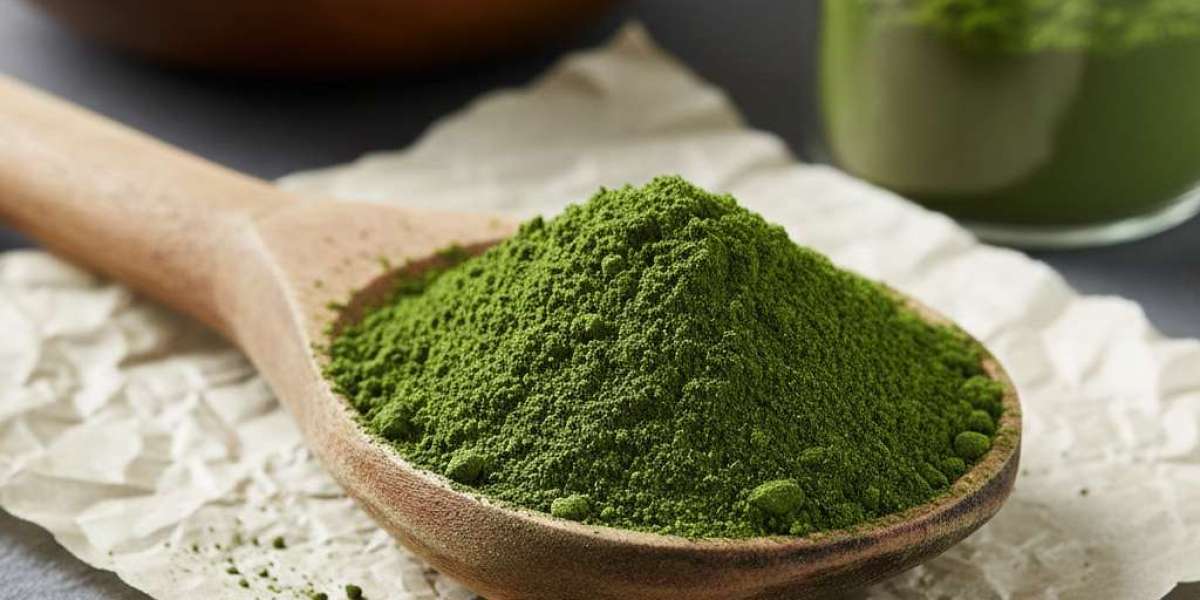 United States Spinach Powder Market Outlook to 2034 – Trends, Growth & Future Insights