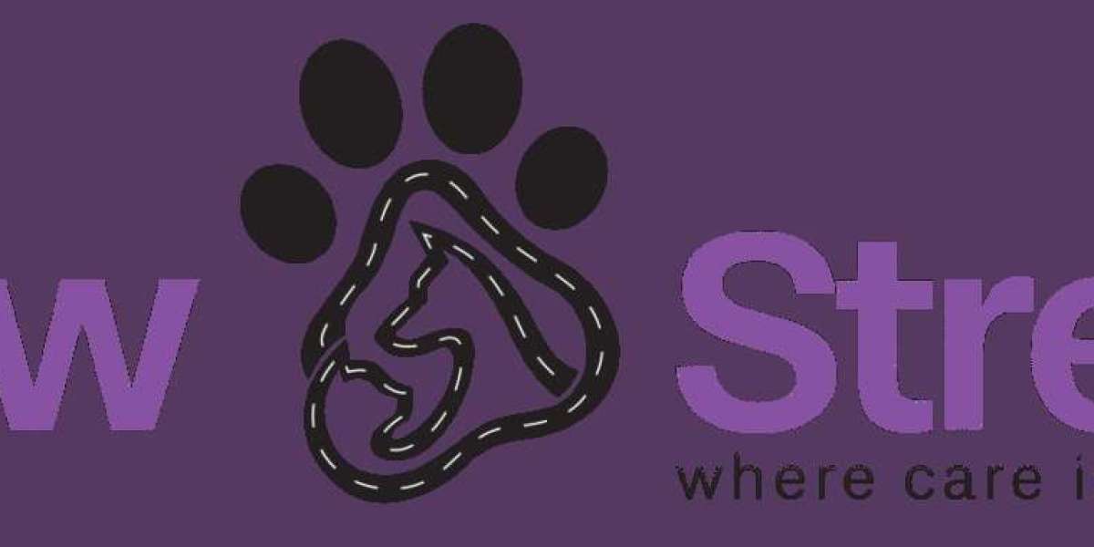 Dog Grooming Near Me Dubai: How to Find Trusted Local Groomers Fast