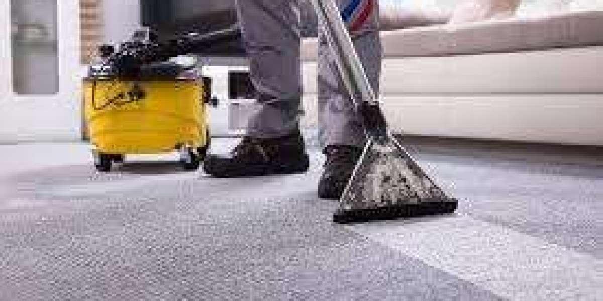Interior Comfort Grows With Carpet Cleaning Services for Daily Care