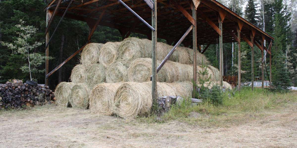 For Ranchers & Breeders: Finding Reliable Horse Hay for Sale in Alberta