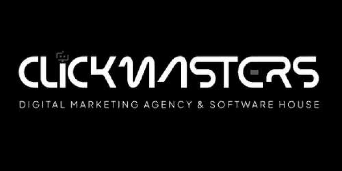 Professional Software Development Company  Custom Solutions