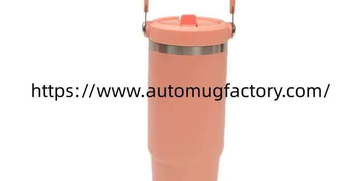 Functional Innovation in Modern Travel Mug Development